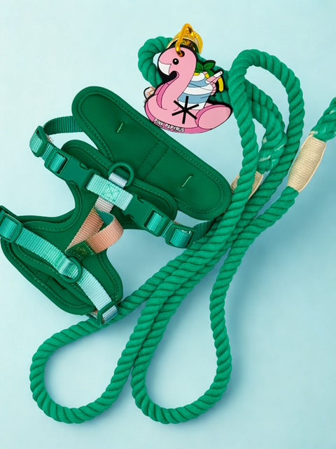 Thumbnail: Ariel Green Rope Leash | Pink Papyrus