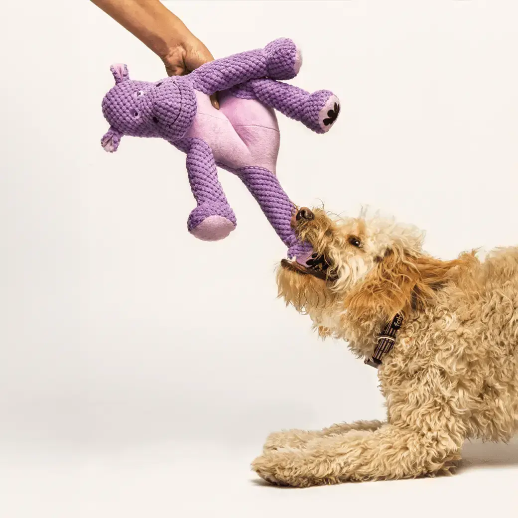 Floppy Hippo by Fabdog