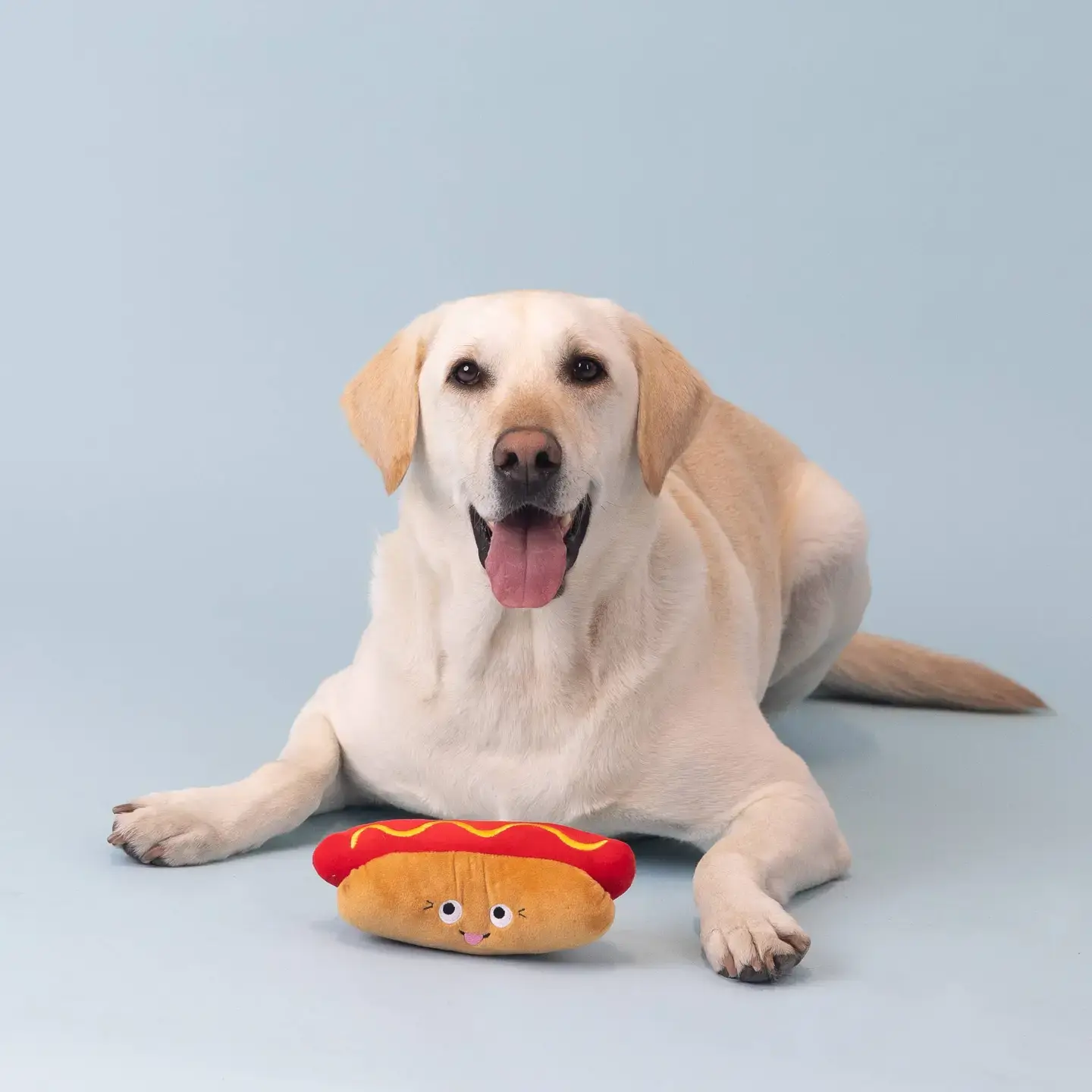 Sun’s Out Buns Out Plush Dog Toy from Fringe