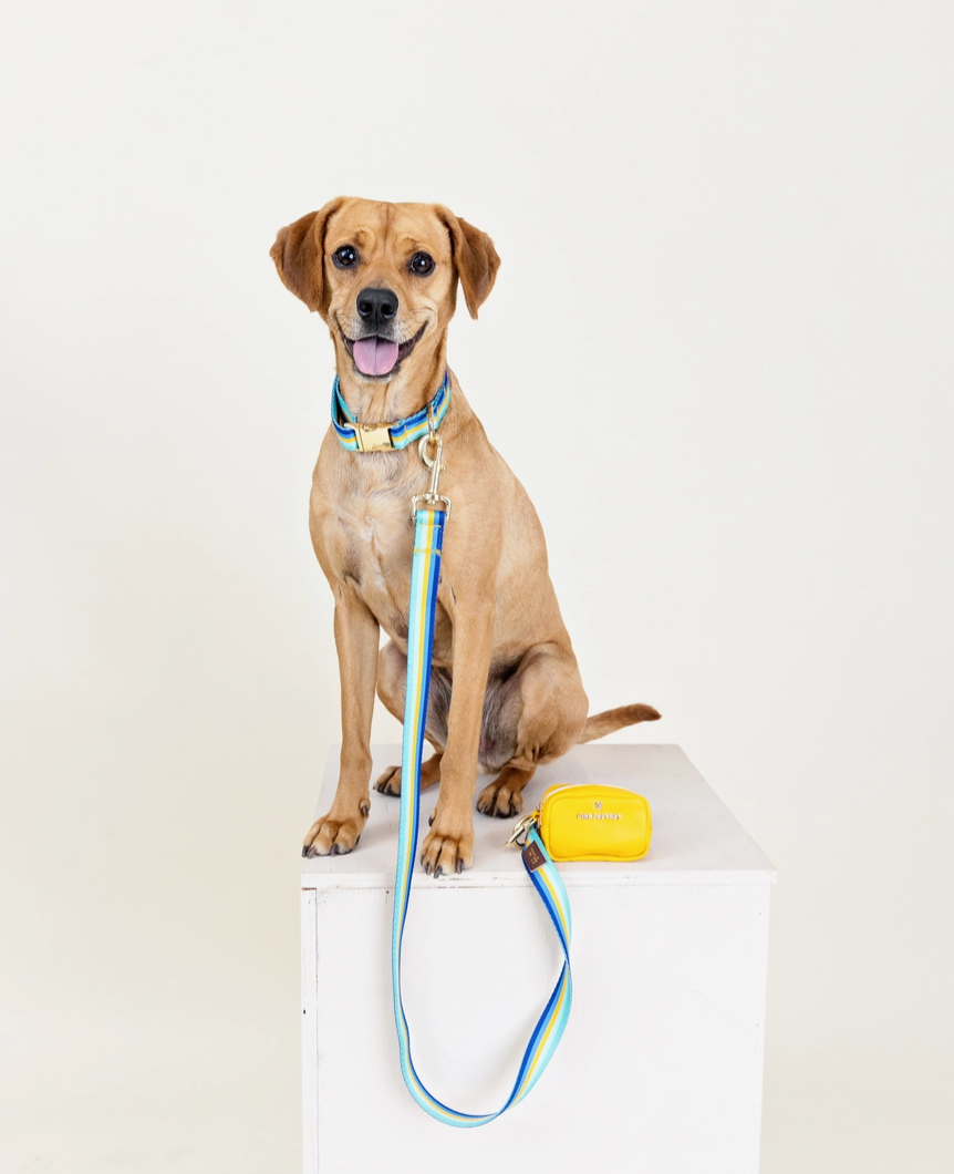 Thumbnail: Handcrafted Adjustable Dog Collar – Pink Papyrus