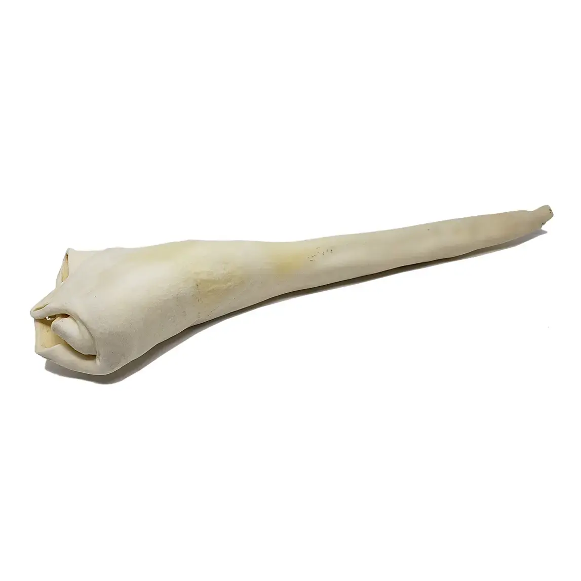 Open Range Bull Tail Full Length 22-24"