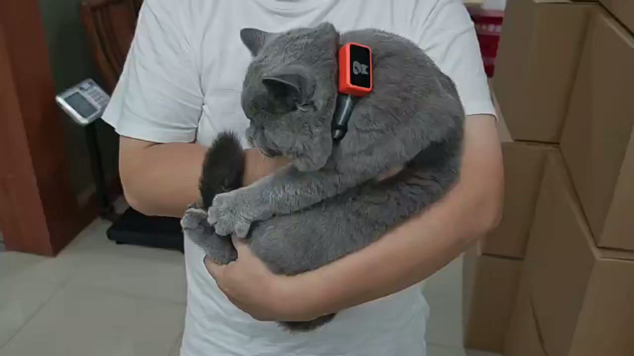 4G GPS Smart Tracker Collar — Dogs & Cats