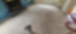 118799874_3605835699436959_2121229817425458230_n.jpg