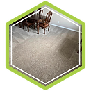CARPET CLEANING.png