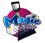 Magic Steam Carpet Cleaning Logo