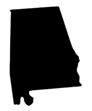 il_1140xN_edited.png