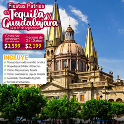 WhatsApp Image 2020-09-04 at 17.12.58