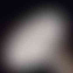 La diversidad de formas es inmensa, como demuestra esta 'Estrella de Tierra' (Geastrum saccatum)