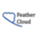 EISP אייקון.png