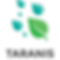 EISP אייקון.png