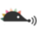 EISP אייקון.png