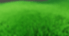 The first version before adding the grass asset from the artist