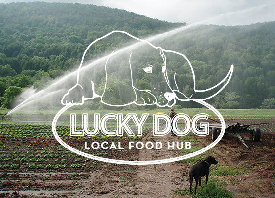 Lucky Dog Organic