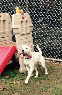 orange county new york