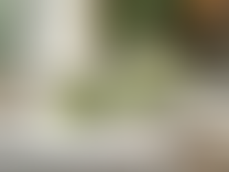 Top Event Design Trends for This Year