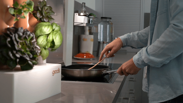 cooking.gif