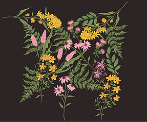 floralbackground-01.png