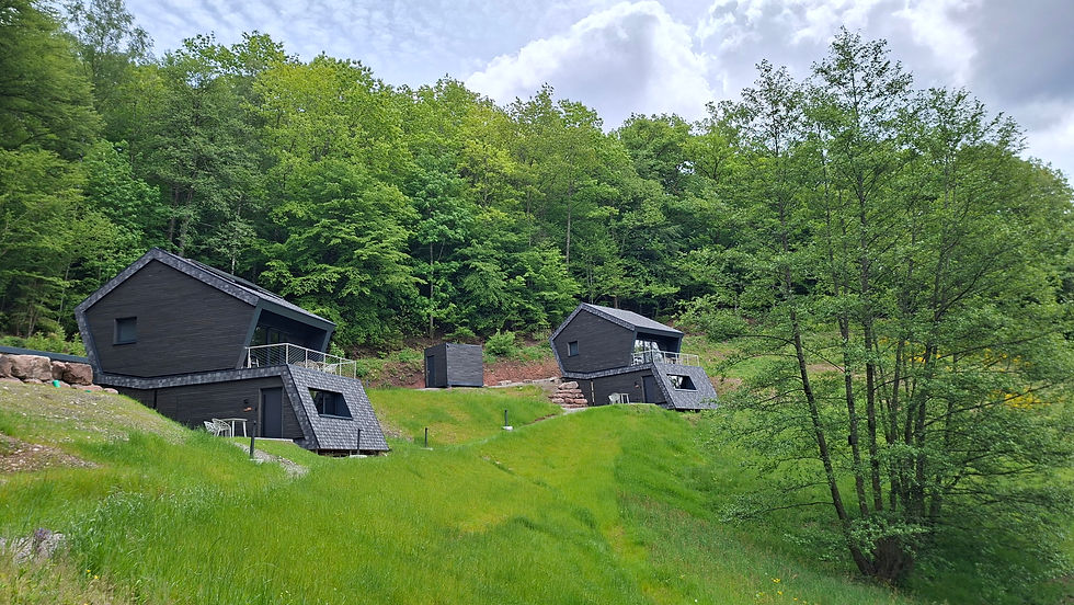 20260519_115407.jpg
