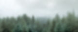 Landing-Hero-Image .jpg