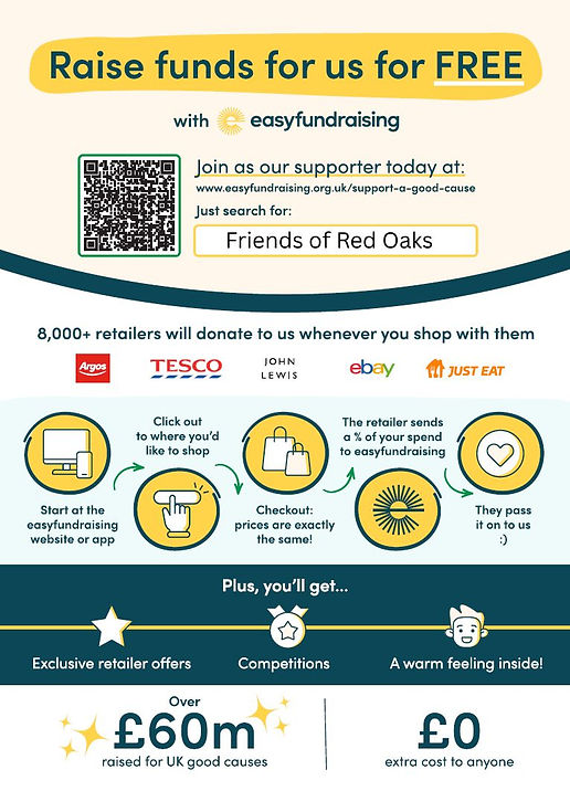 Easy Fundraising Poster FORO.jpg