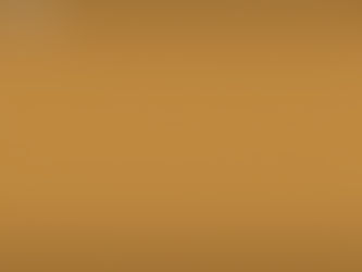 A Great Book From Holiday Shopping!