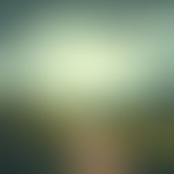 IGNORE JOURNEY NOISES 4