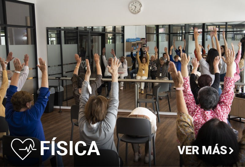 imgi_38_img-fisica-1.jpg