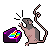 Rat