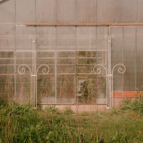 L'arboretum de la Vallée-aux-Loups à Châtenay-Malabry