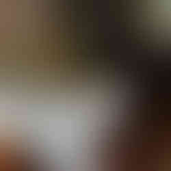 Intérieur de la maison de chateaubriand, Vallée-aux-Loups à Châtenay-Malabry