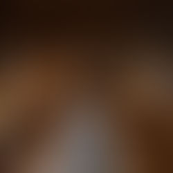 Galerie des peintures du château de Chantilly