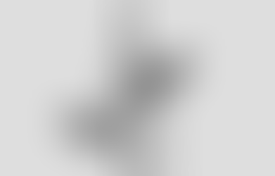 Dalai Lola y los microplaceres