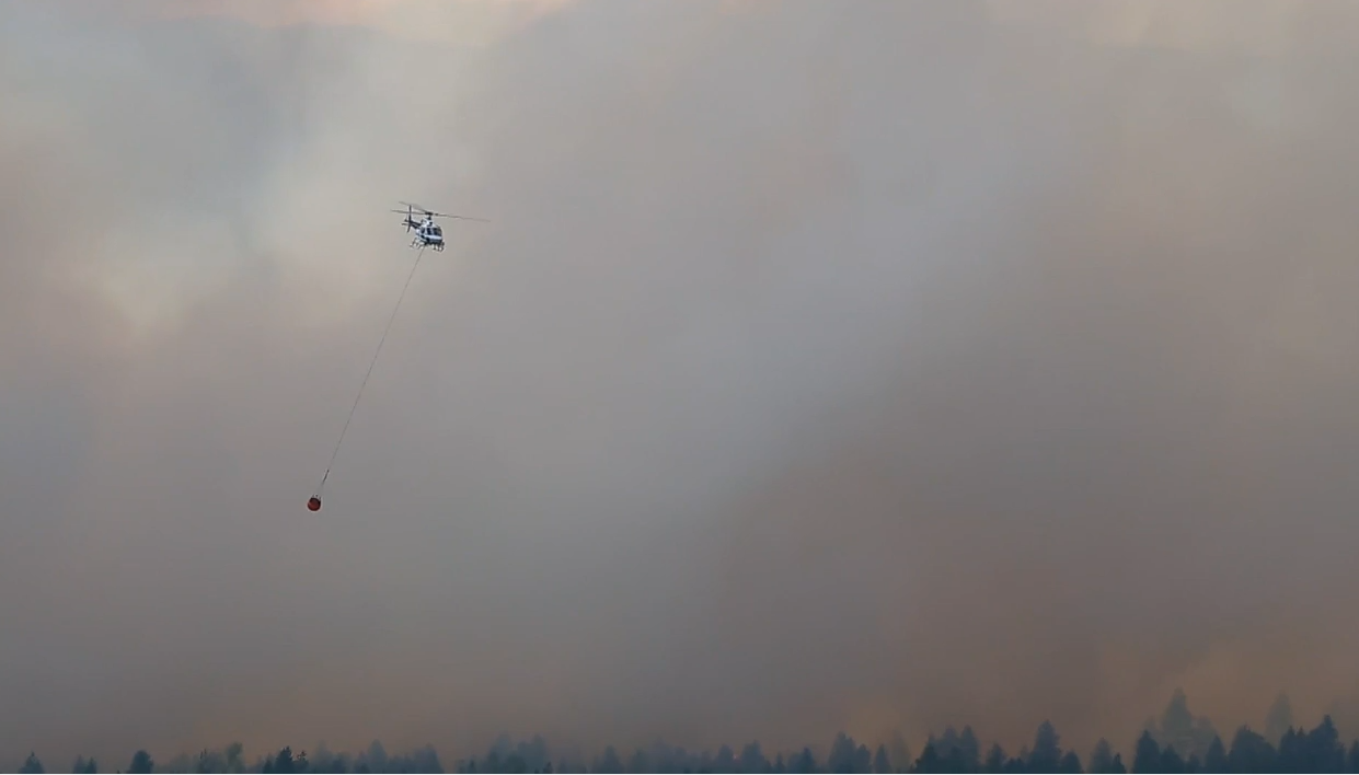 A helicopter carries water towards the St. Mary's River Wildfire Near Cranbrook.