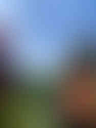 Ken Byrne teaches forestry professionals