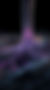 growth.jpeg