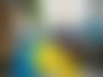 Essential Tips for Tackling Gross Filth Cleanup Safely