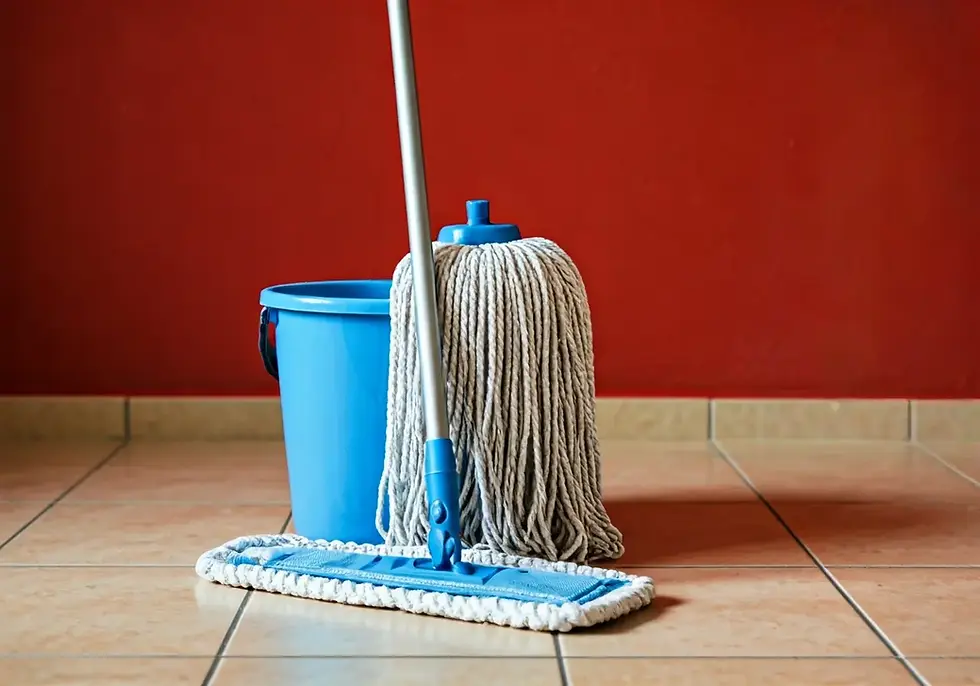 Can I Do Vomit Cleanup Myself or Should I Hire a Professional?