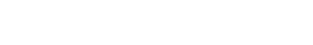 SLS Consultants Logo