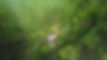 DJI_0181.jpg