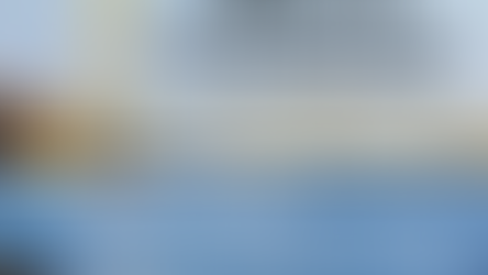 Northern Pride Lions Forum