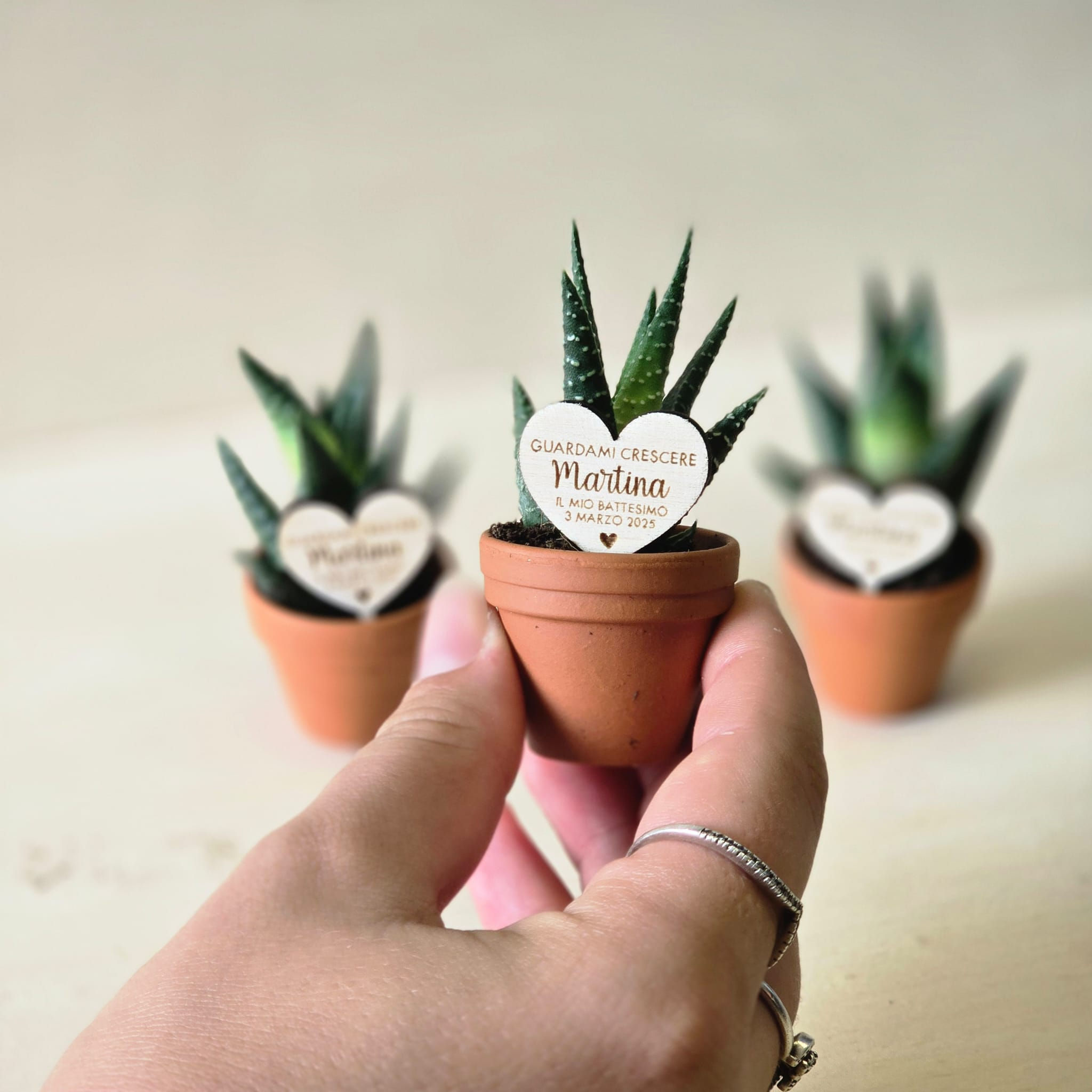 MINI TAG per piantina