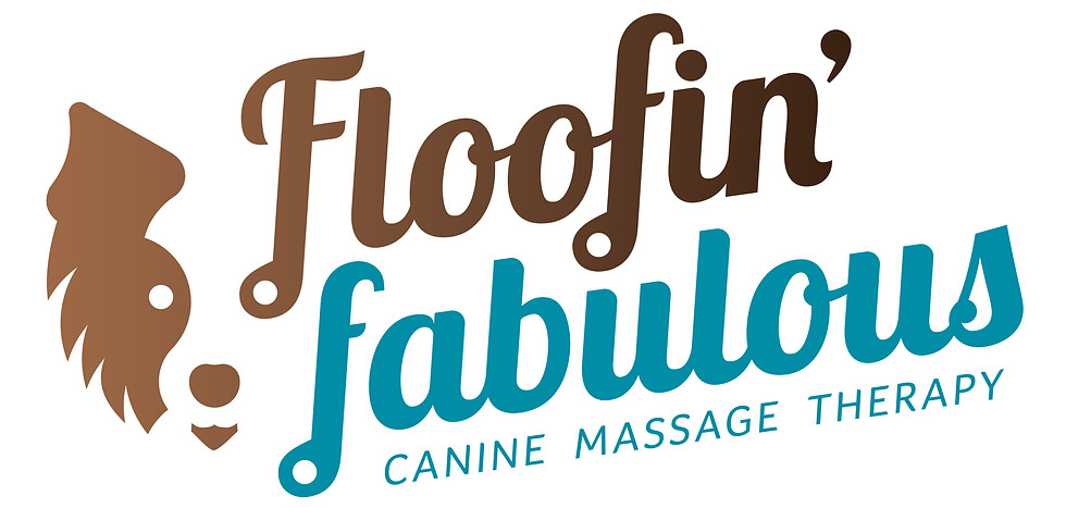 FF_Full-Colour_logo