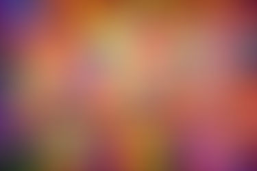 Celebrating The Start of 2026 With Sparkling Joy!