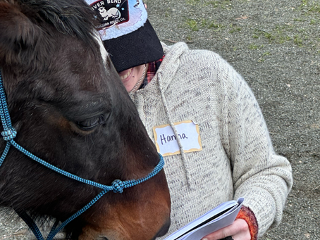 A Prospective Study of Horse-Assisted Therapy for Young Adults