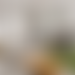 Rental Properties in Battersea, London