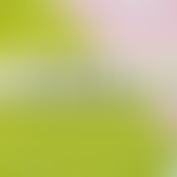 Can you Renovate a Property Without Planning Permission?