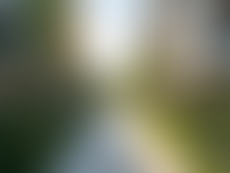 Explore Prime SMDC South 2 Residences Sale