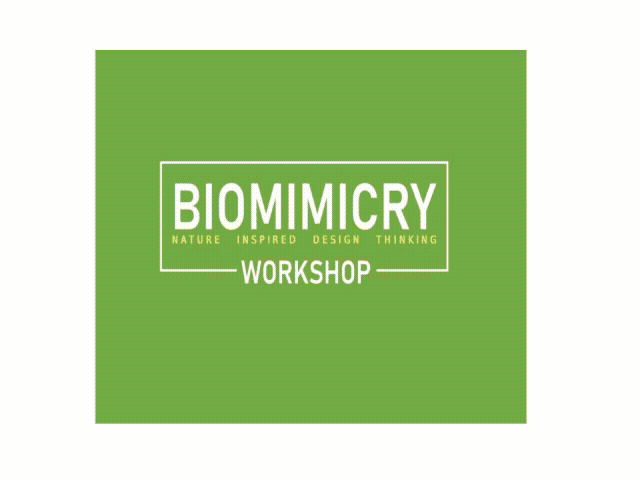 Biomimicry Residential Workshop “Nature integrated thinking & living”