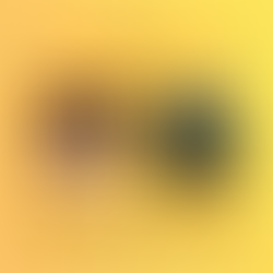 Parish Feast Day Celebration