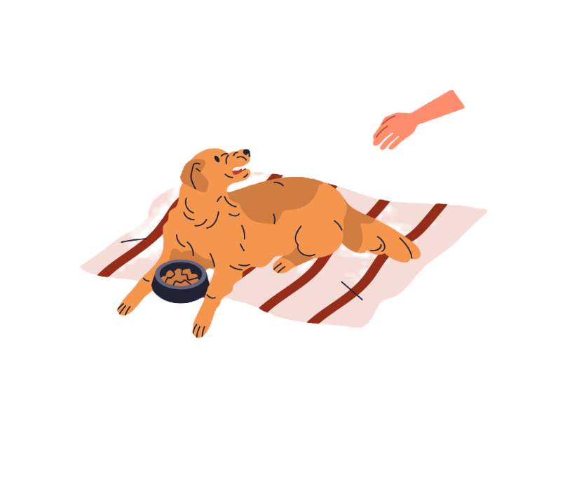 Знімок екрана 2024-01-27 о 17.24_edited.